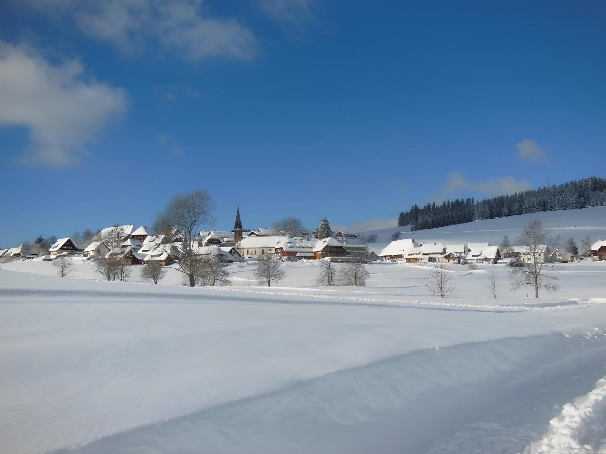 Ferienhaus Kaltenbach Titisee-Neustadt Exterior foto