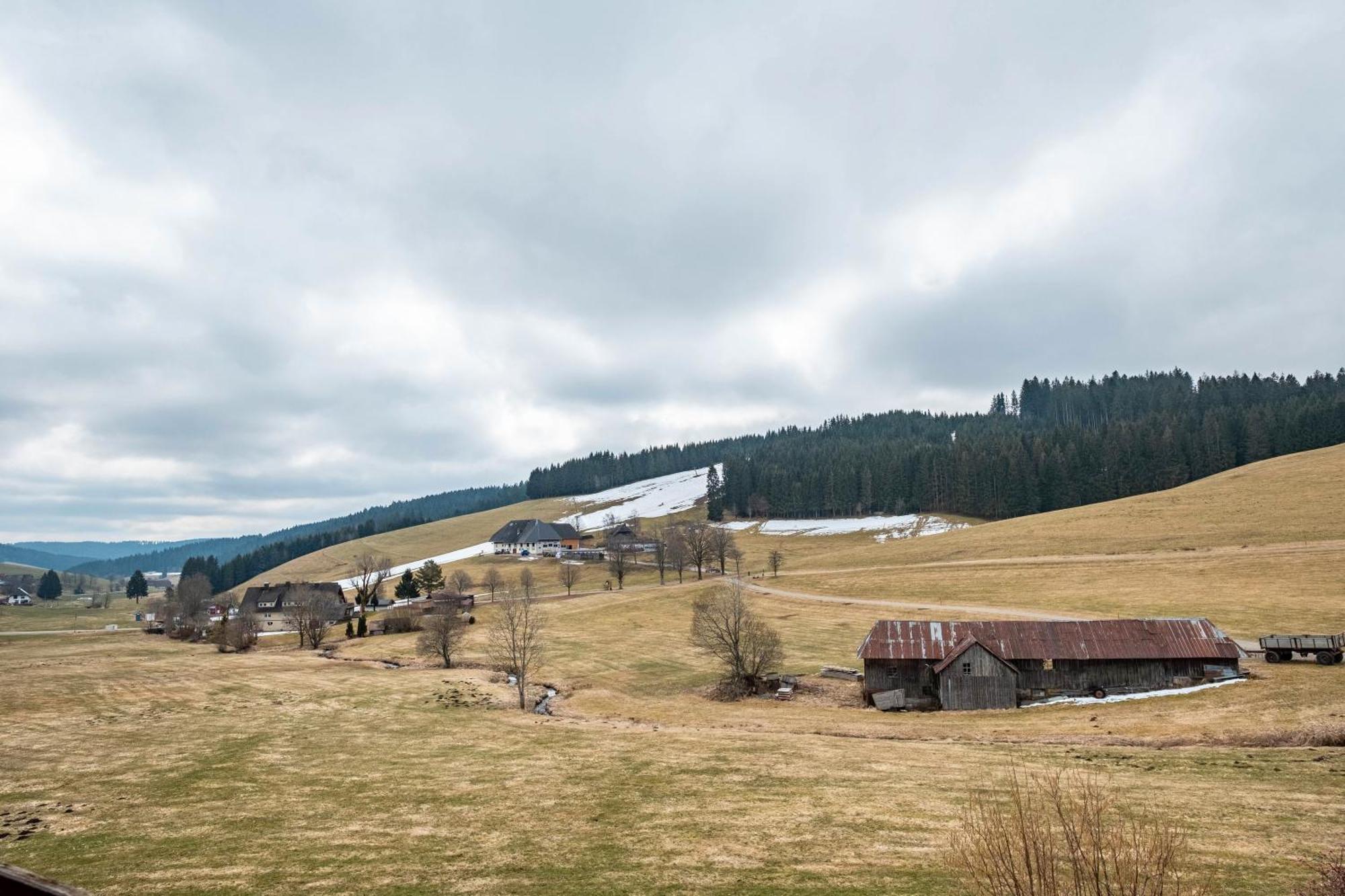 Ferienhaus Kaltenbach Titisee-Neustadt Exterior foto