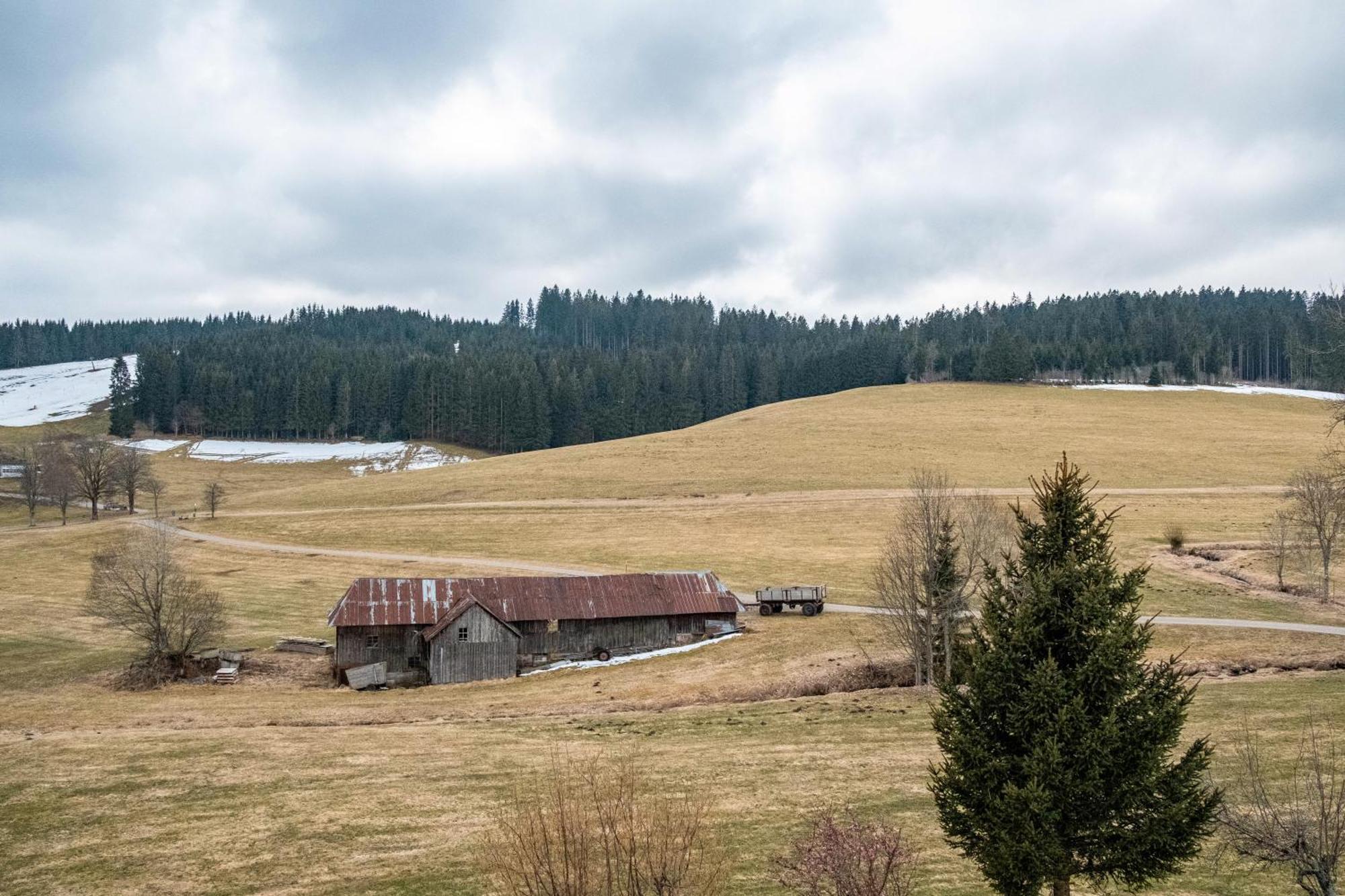 Ferienhaus Kaltenbach Titisee-Neustadt Exterior foto